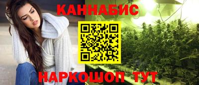 индика Нальчик