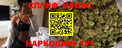 индика Нальчик