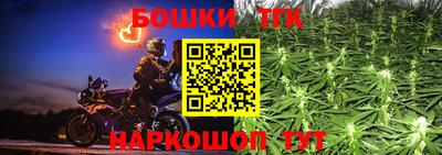 индика Нальчик
